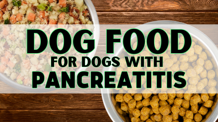 Low Fat Dog Food for Pancreatitis